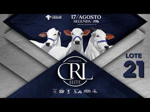 LOTE 21   NCRL 953