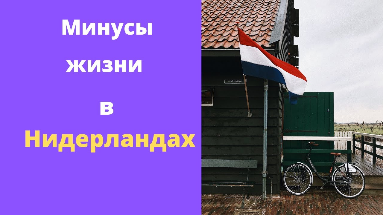 Нидерланды жизнь Нидерланды жизнь