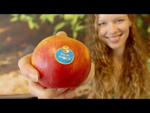 Video: Cytosporose - Uitdroging Van Fruitgewassen