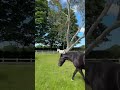The Science of Movement