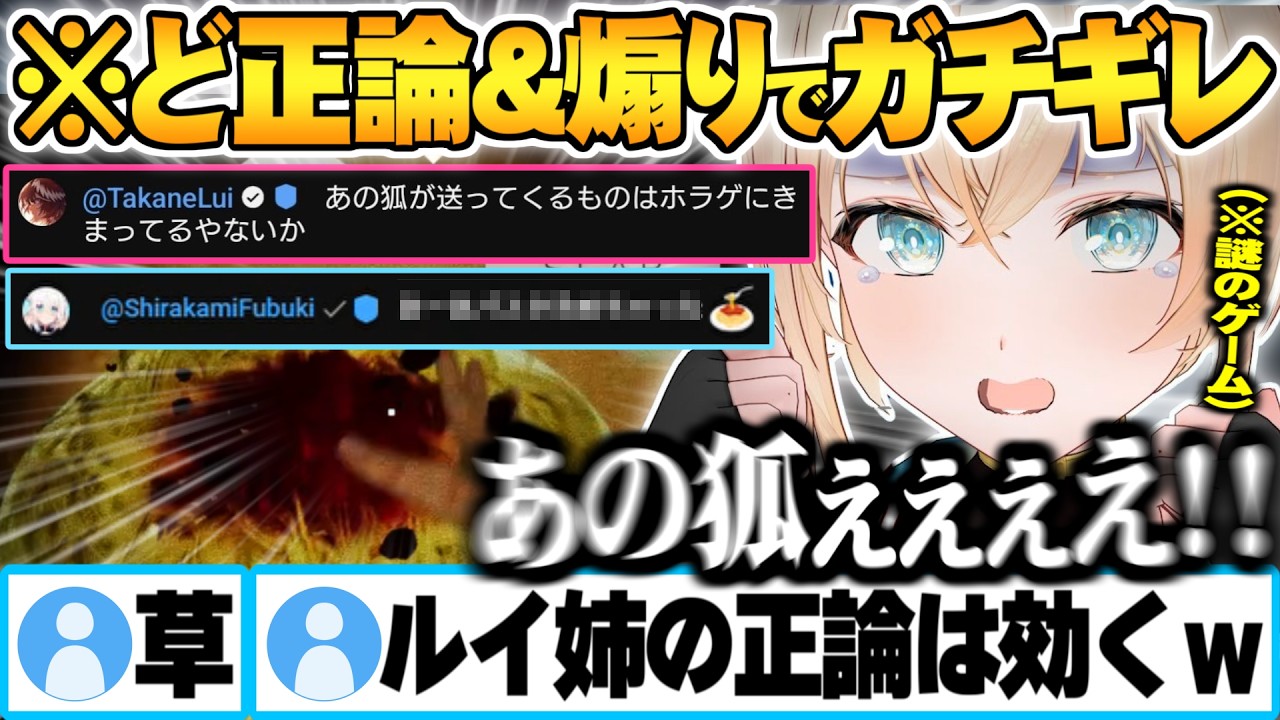 フブさんからのプレゼント(罠)でパスタを殴っていたらルイ姉からど正論で殴られフブさんにも煽られるござる【風真いろは 鷹嶺ルイ 白上フブキ ホロライブ 切り抜き Vtuber】