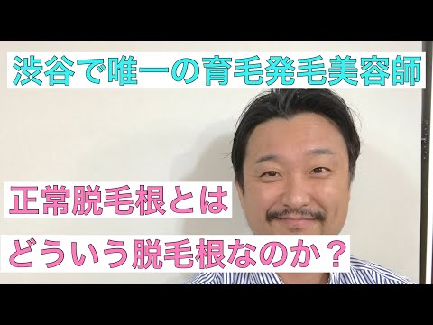 【３分で分かる】正常脱毛根とはどういう脱毛根なのか？