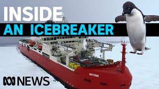 Ever been on board an icebreaker? Inside RSV Nuyina | ABC News