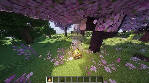 Update. (11/19/25, 19/11/25)