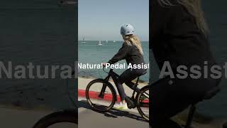 Ride1Up Prodigy v2: the all-around touring titan