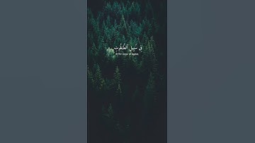 Surah Nisa (76) | سورة النساء ٧٦ | By Sheikh Yasser Al Dossary | للشيخ ياسر الدوسري