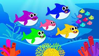 Baby shark doo doo doo | Animal Song | Baby Shark | Nursery Rhymes & Baby Song  More