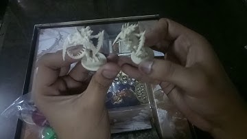 Labyrinth of ruin unboxing