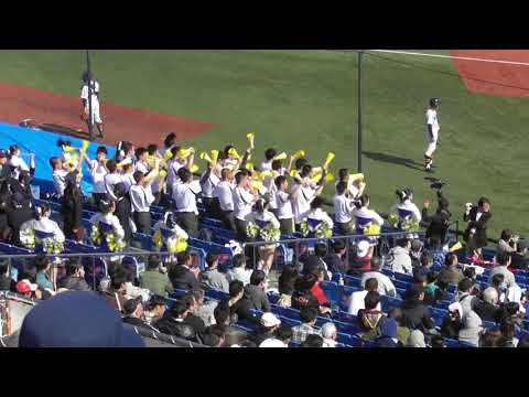 帝京 アンパンマン体操(アカペラ)〜アフリカンシンフォニー〜ガールズルール〜ルパン三世〜ポパイ 2019秋 準決勝