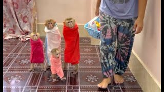 4 Siblings Walk Follow Mom Very Excited To Mattress For Diapering Time ,