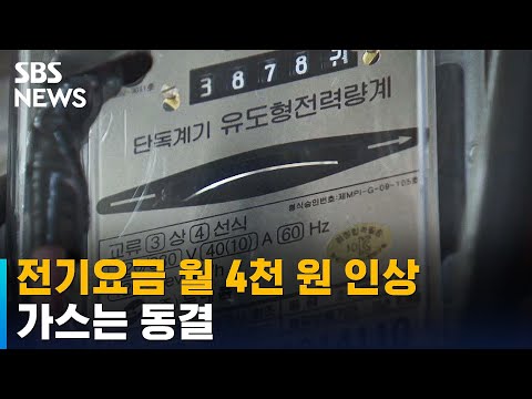 4인 가구 기준 월 4천 원 전기요금 인상…가스는 동결 / SBS