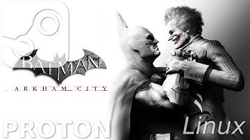 Batman: Arkham City GOTY: Linux, Steam Play, Proton, DXVK