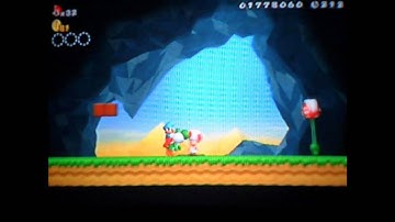 test video for NSMBW remake