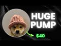 Dog wif hat hit 40 new cex listing price prediction