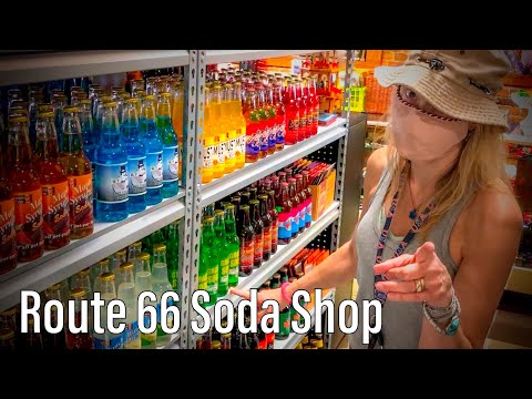  66      