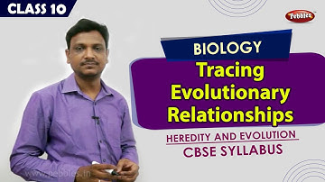 Tracing evolutionary relationships | Heredity and evolution | 10th CBSE Syllabus | Explanation
