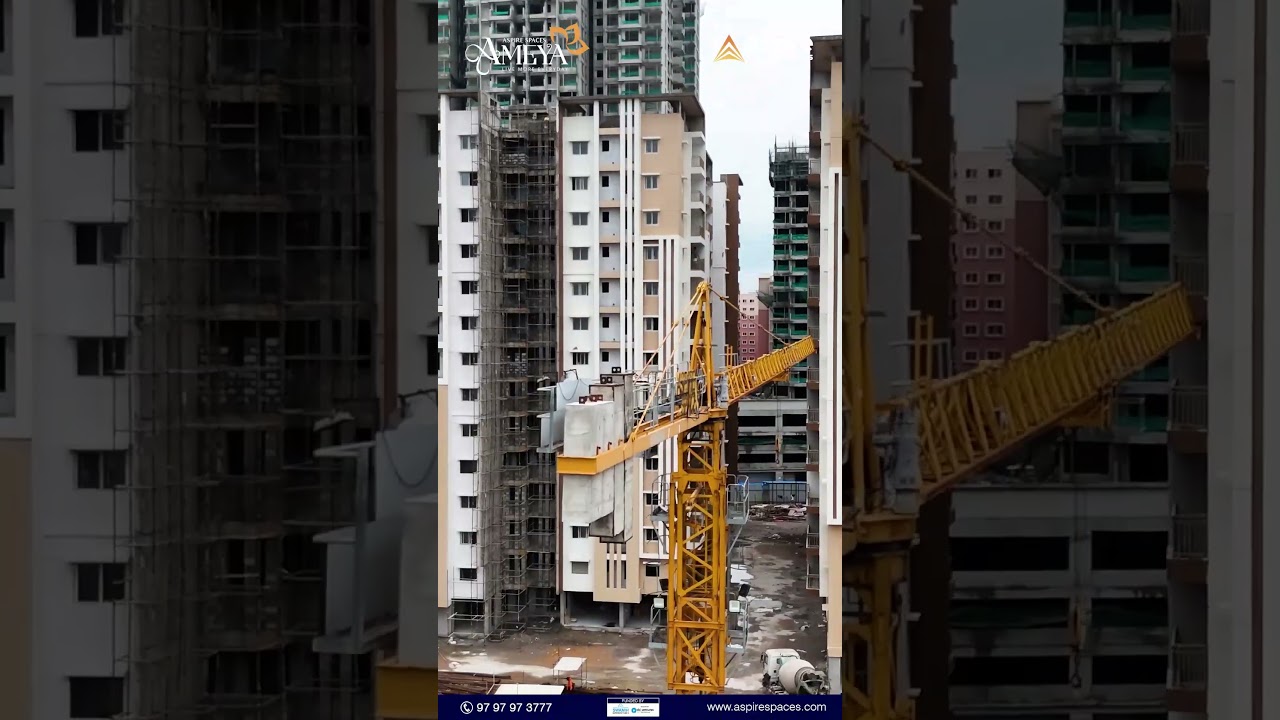 🌟 Unbelievable, but True! 