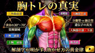 【筋トレ】大胸筋、完結。