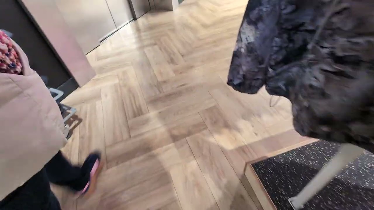 Kone MonoGoods in the Primark Belfast 