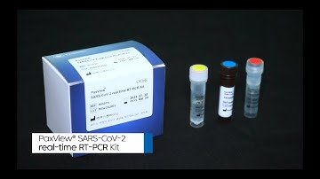 PaxView SARS-CoV-2 real time RT-PCR Kit