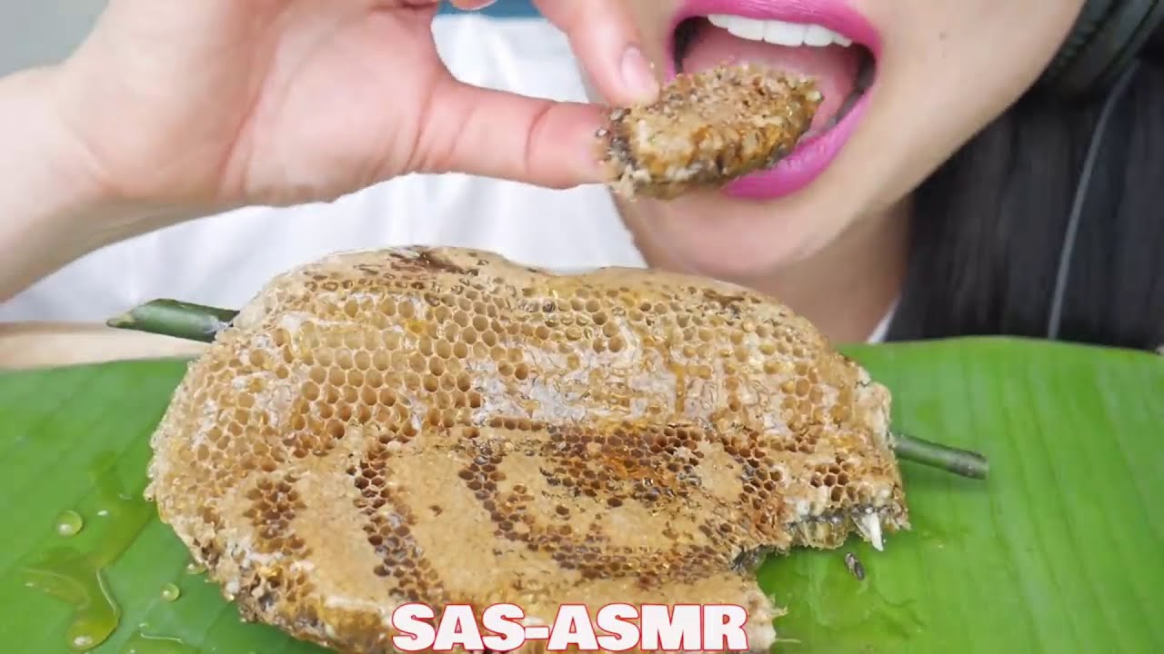 BITES ONLY RAW HONEYCOMB // SAS ASMR