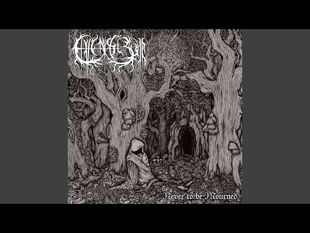 Elvenscroll - Kaiku Tulevan Sodan