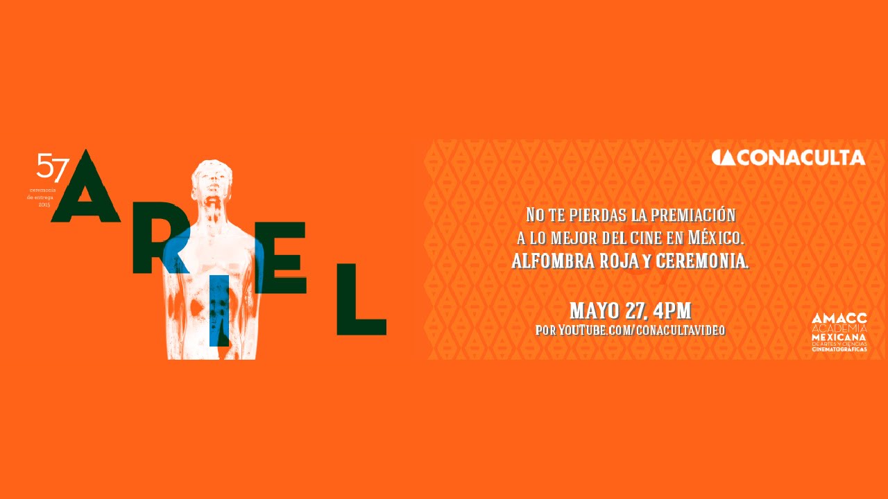 57 Entrega del Ariel 2015 artery supply of stomach