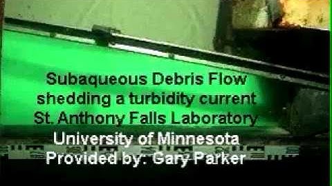 Debris Flow and Turbidity Current