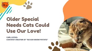 Influencer Sharing (No Ear Meow Potato): Older Special Needs Cats Could Use Our Love! by MeloCat 113 views 5 months ago 27 minutes