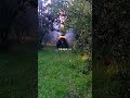 Садовой опрыскиватель❕Сотувда мавжуд❗️Номер телефона:90-939-85-96 #агротехнологии #farm  #agrifuture