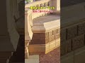 【ランド城前に謎のもの】東京ディズニーランド シンデレラ城 #shorts