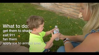 Get to Know the Signs and Symptoms of Heat Stroke in Children