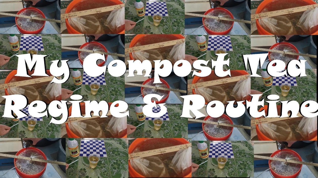 Ep.16 My Compost Tea Regime & Routine