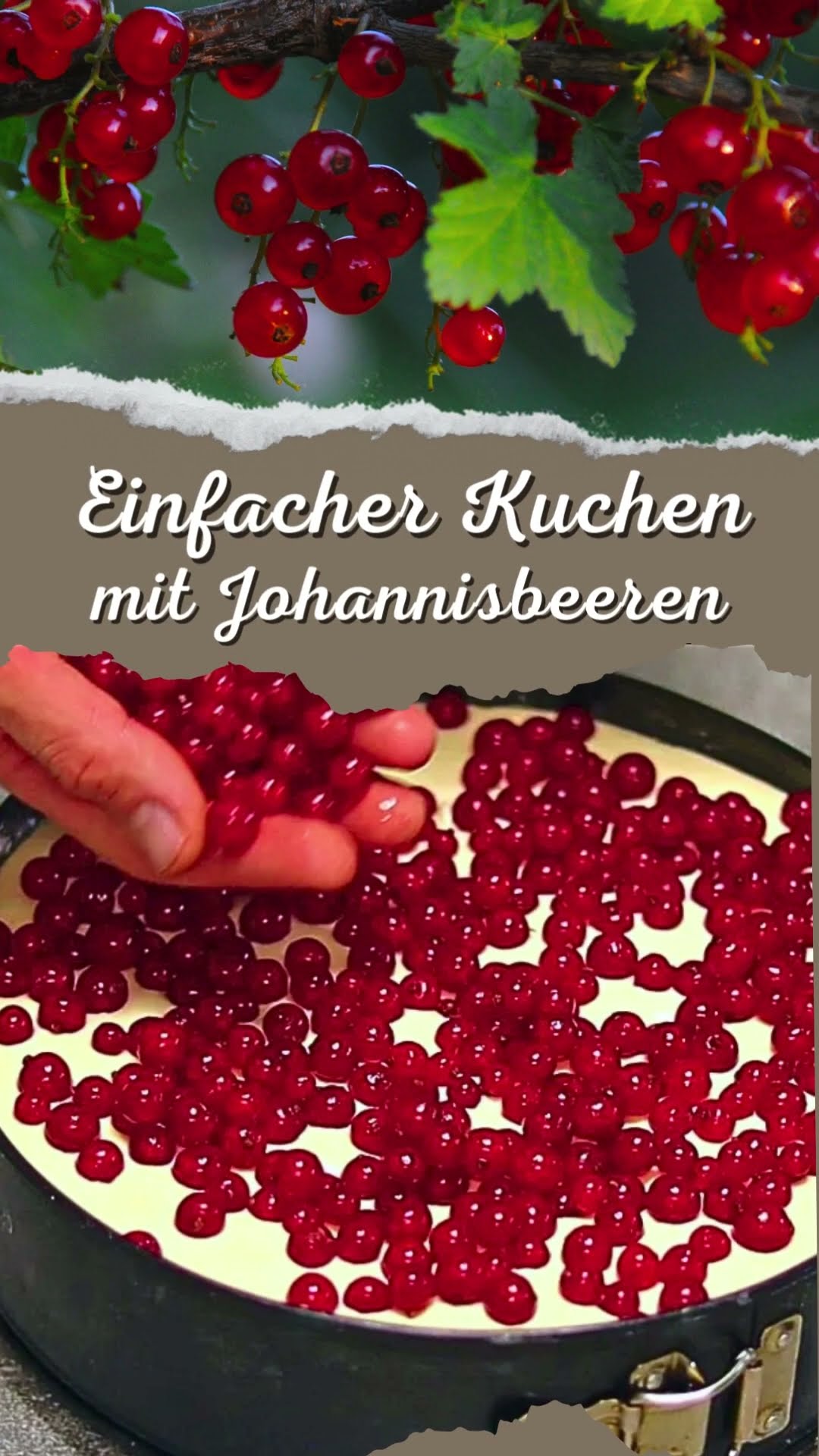 Johannisbeeren-Kuchen mit Quark Öl Teig: einfaches Rezept - YouTube