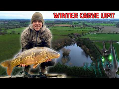 SCREAMING Alarm on My Birthday! 🎣 Winter Carp at Rising Sun Fisheries