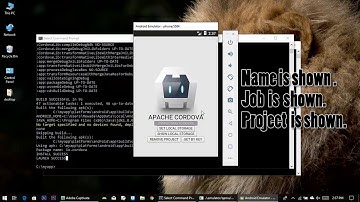 Storing data in Local storage using cordova