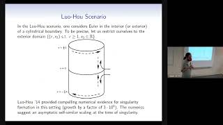[15/072022] CIMNE Severo Ochoa Seminar by J. Gómez-Serrano; Asymptotic self-similar blow up...