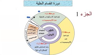 دورة انقسام الخلية-الانقسام الميتوزي Cell Cycle and Mitosis -الجزء الأول -د.منى سمير