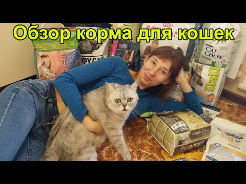 Видео: Храна за котки 