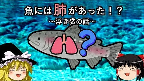 魚のはい Mp3