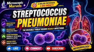 Streptococcus pneumoniae | Microbiology | Microscopic Marvels