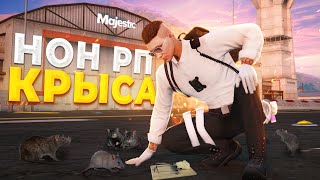 :         GTA RP / MAJESTIC RP