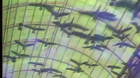 ｏ ｐ ｅ ｎ ▒ ｓ ｕ ｎ ｄ ａ ｙ ｓ モール