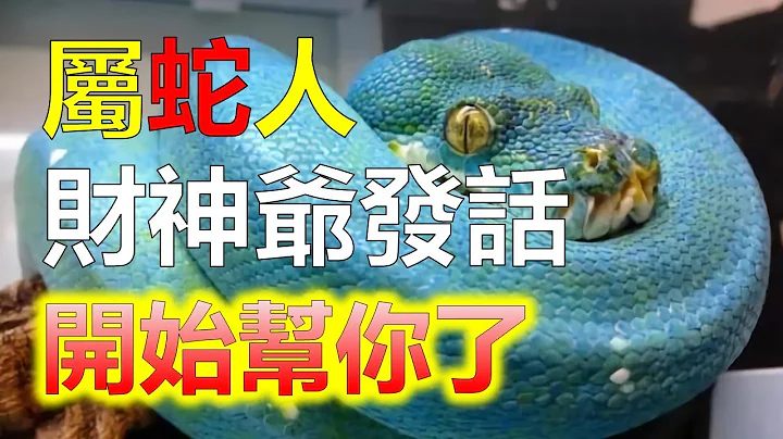 2024生肖运势，十二生肖属蛇人，12月你会遇到什么麻烦？属蛇人与领导均能相处融洽，故属蛇人只要好好的表现自己，积极努力，可以让你的事业更上一层楼。12月是非口舌较多，属蛇人牢记言多必失（生肖蛇） - 天天要闻
