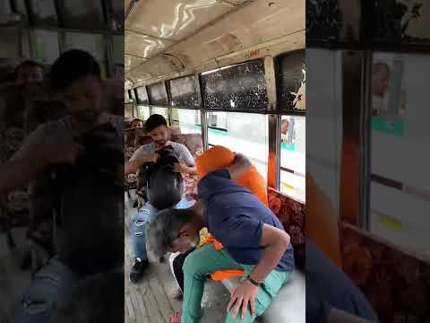 Sarkari naukari ka kamal 🤣🤣😂😂 | comedy | #trending #viral #ashortaday #comedy #funny #ytshorts