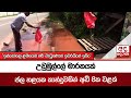 උඩුමුල්ලේ|sin
