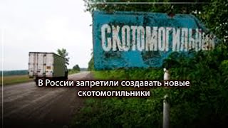 В России запретили создавать новые скотомогильники