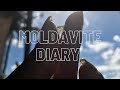 Moldavite Diary Week 7 | Trauma &amp; Toxic Relationships | Shelby’s She Shed