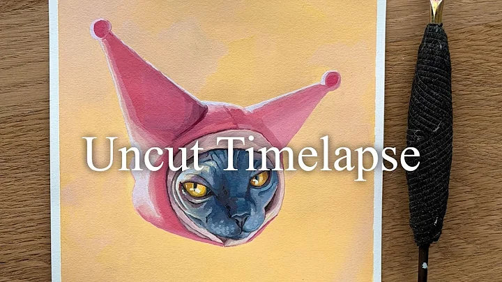 Video 11852411: sphynx cat, little cat