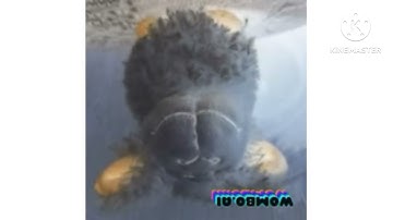 all preview 2 deepfakes part 6 final